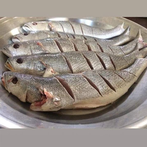 Aziz Fish Meatoz | SeaFood